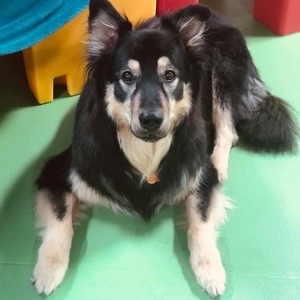 Fundraising Page: Natalie Whitten